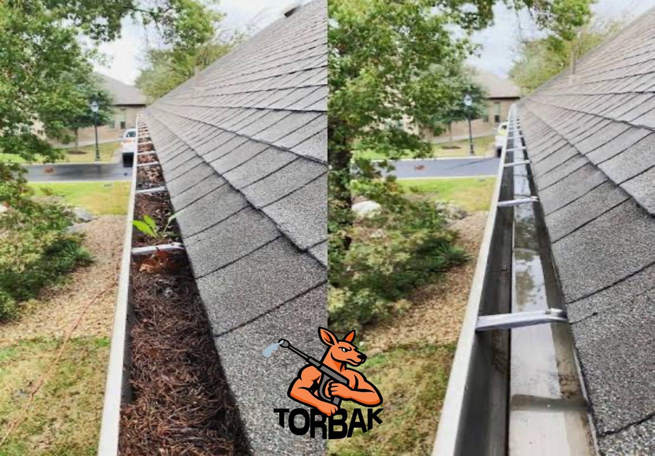 Roof Cleaning