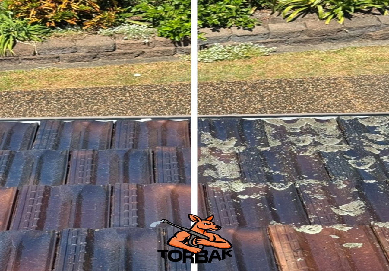 Exterior Washing